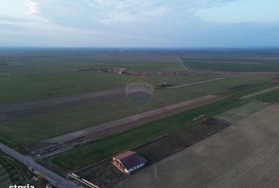 Teren de 12360 mp, în Vulturu - 4