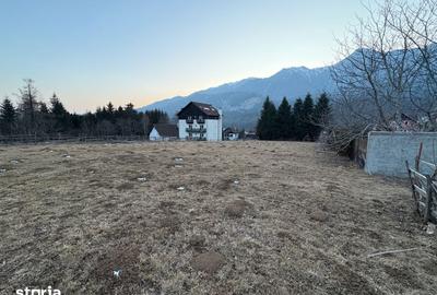 Teren de 2676 mp, în Piatra Arsă - 11