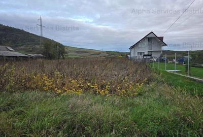 Teren de 3500 mp, în Sărata - 1