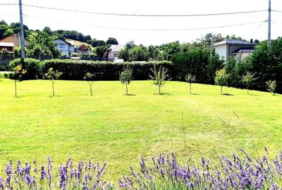 Casa traditionala de vis, aproape de Cluj-Napoca - 20