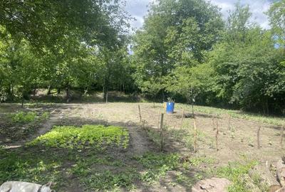 Casă cu 5 camere cu Teren 2000 Mp în Movila Miresii - 9