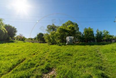 Oportunitate achizitie teren intravilan 7031 mp Campulung?? - 2