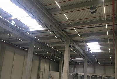 Spațiu industrial, de 6,700 mp, în Ciorogârla - 5