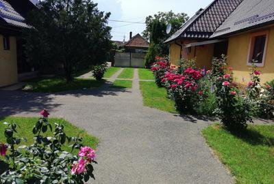 Casă cu 3 camere în Săbolciu - 6