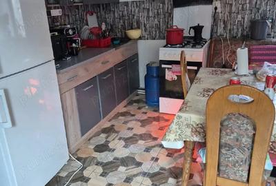 Casă cu 3 camere cu Teren 2500 Mp în Mintia - 4