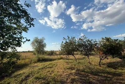 Casă cu 3 camere în Cruceni - 3
