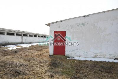 Spațiu comercial, de 20,000 mp, în Semlac - 12