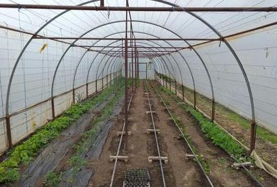 Casă cu 4 camere în Sărățeni - 2