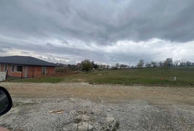 Spațiu comercial, în Săldăbagiu de Munte - 2