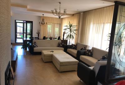 Vila pretabila Locuit/Afacere, S+P+1E+M, 450 mp, teren 800 mp - 3