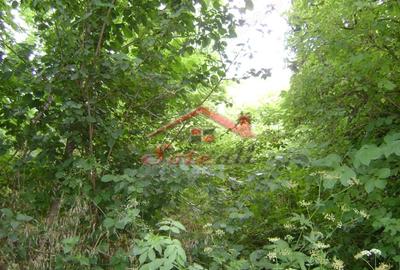 Teren de 643 mp, în Cornu - 1