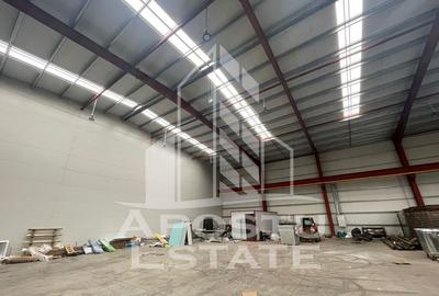 Hala 600 mp constructie noua Sacalaz - 3