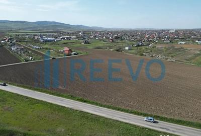 Teren de 1800 mp, în Nicolae Bălcescu - 6