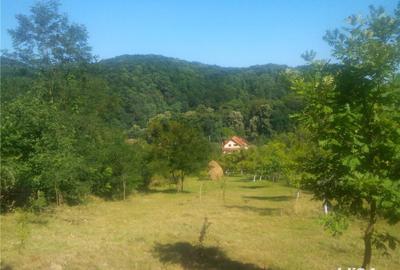 Casă cu 6 camere cu Teren 4000 Mp în Săvârșin - 10