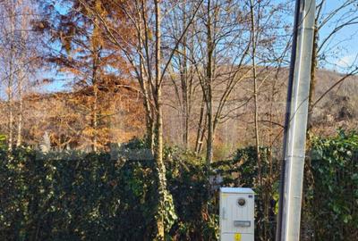 Teren intravilan 738 mp, zona Viforata, Comision 0 - 3