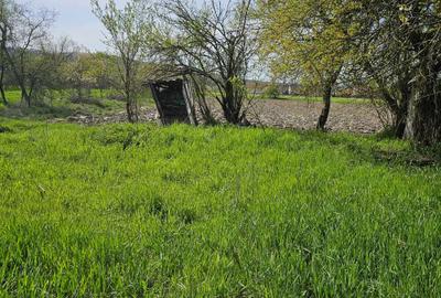 Casă cu 2 camere în Exterior Vest - 4