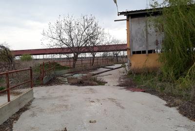 Proprietate specială, de 5,441 mp, în Vâlcelele - 10