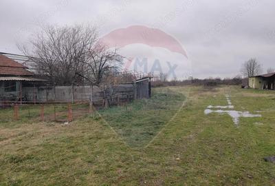 Casă cu 5 camere cu Teren 7531 Mp în Sacu - 3