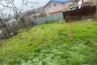 Teren de Vanzare Intravilan - 2