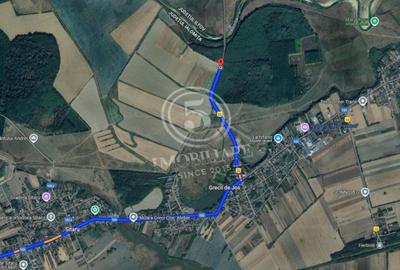 Padure de vanzare - Padurea lui Bolete, Fierbinti-Targ - 4