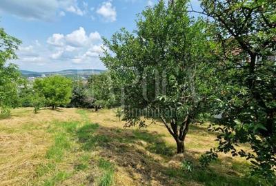 Teren intravilan pentru constructii de vanzare in Zorilor, Cluj Napoca - 4