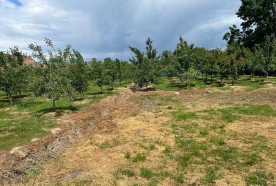 Casă cu 6 camere cu Teren 2700 Mp în Bocsig - 4