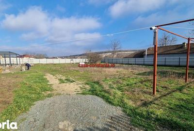 Casă cu 5 camere cu Teren 2660 Mp în Poarta Albă - 11