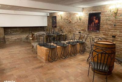 Casă cu 6 camere cu Teren 2000 Mp în Făget - 2