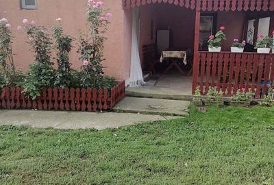 Casă cu 4 camere în Nicolae Bălcescu - 10