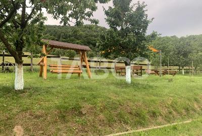 EXCLUSIVITATE - Casa 9 camere 615 mpu 9 bai 3600 mp teren in Fantanele - 20