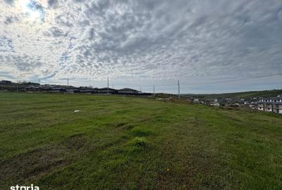 Teren de 500 mp, în Bârnova - 5