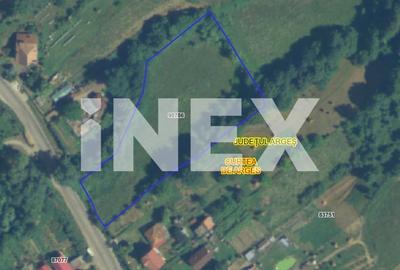 Teren intravilan 5.000 mp de vanzare - Curtea de Arges, Capul Dealului - 2