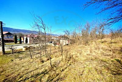 Spațiu comercial, de 140 mp, în Dârmănești - 3