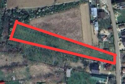 Teren de 4250 mp, în Ungureni (Dragomirești) - 3