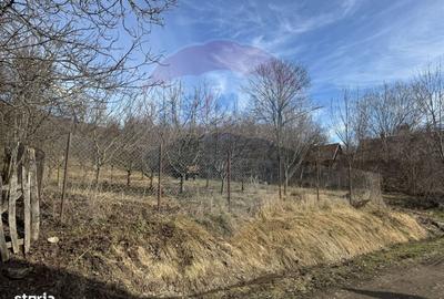 Spațiu comercial, în Izvoarele - 6