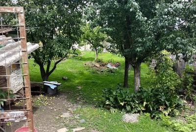 Casă cu gradina 1255mp cu sere, Copaceni , 25km de Cj-N,comision 0% - 11