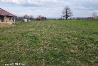 Teren de 2000 mp, în Coltău - 4