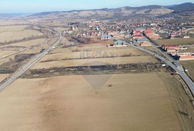 Teren de 10168 mp, în Brateiu - 1