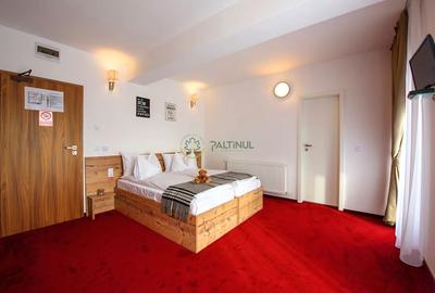 Afacere la Cheie - Pensiune 12 camere în Păltiniș - 6