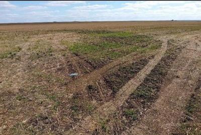 Teren extravilan cota parte 1/2 Alexandria, ID: R2814838 - 7