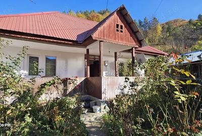 Casă cu 2 camere în Varlaam - 8