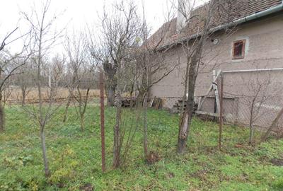 Vanzare casa cu teren de 3600 mp Miercurea Sibiului - 1