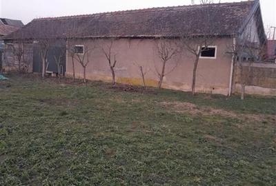 Casă individuală cu 4 camere cu Teren 5526 Mp în Cheșa - 21