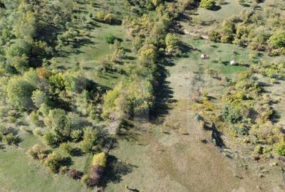 Teren extravilan, 41.631,00 mp, zona Pietrosita - 3