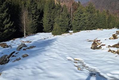 Teren de 300 mp, în Râu de Mori - 1