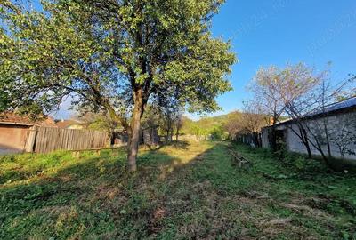 Casa de vanzare in Zam - 6