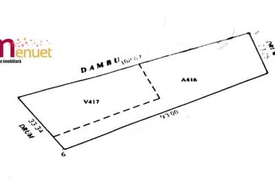 Teren intravilan,Dunavatul de Jos, 2717mp - 1