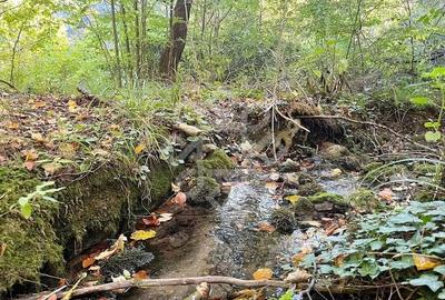 Teren de 2482 mp, în Bratca - 12