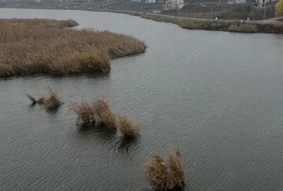 Teren 10.009 mp cu deschidere 70 m vedere la lac ?i padure - 5