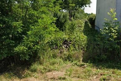 Teren de 1260 mp, în Lazuri - 3